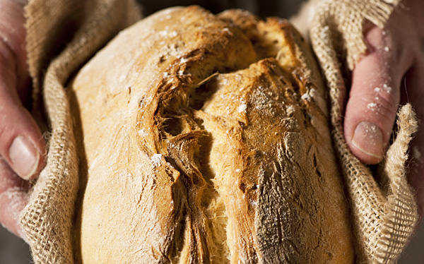 BrunoCouwenberg-brood-B600